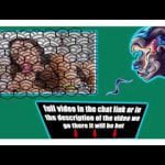 Video Bokep 2021 Hot Video Bokep 2021 Hot